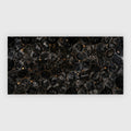 Black petrfied wood large
