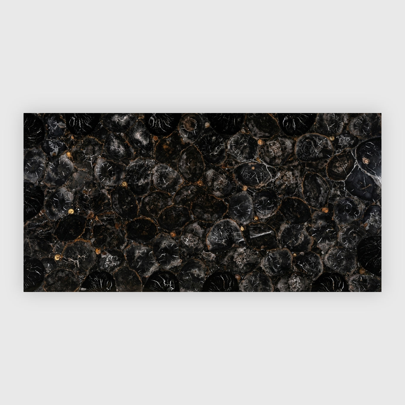 Black petrfied wood large