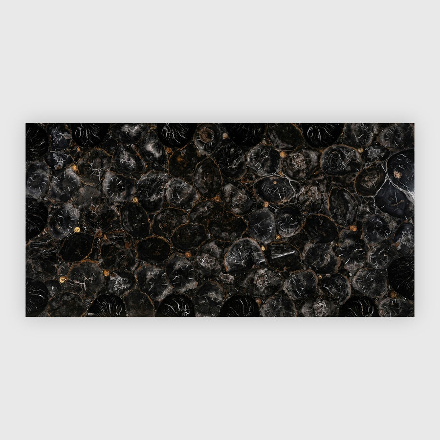 Black petrfied wood large