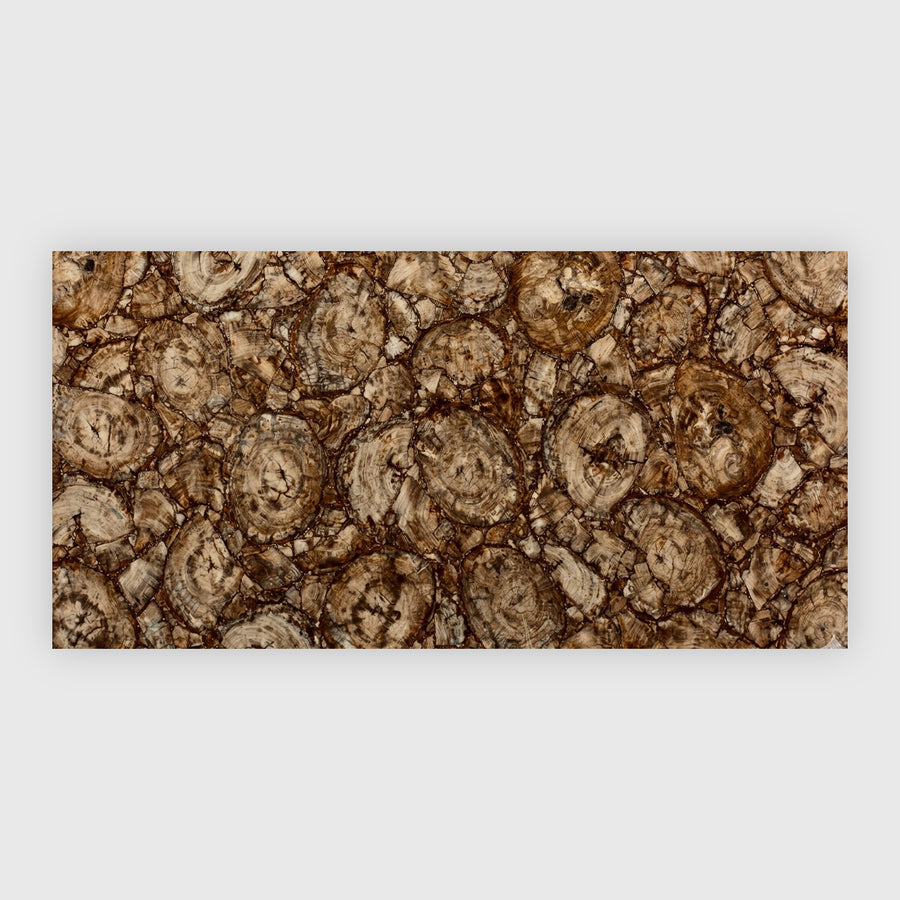 Brown petrified wood large