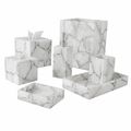 White Quartz With Silver